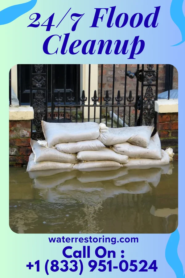 24/7 Flood Cleanup in Kearney Park, MS