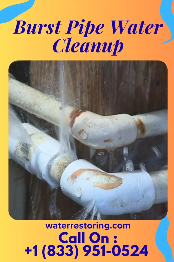 Burst Pipe Water Cleanup in Kearney Park, MS