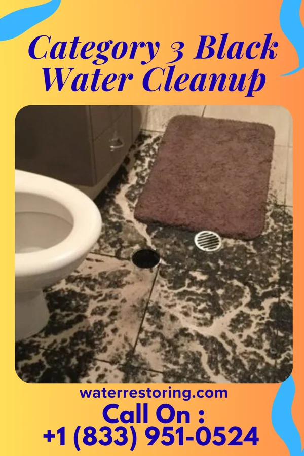 Category 3 Black Water Cleanup in Kearney Park, MS