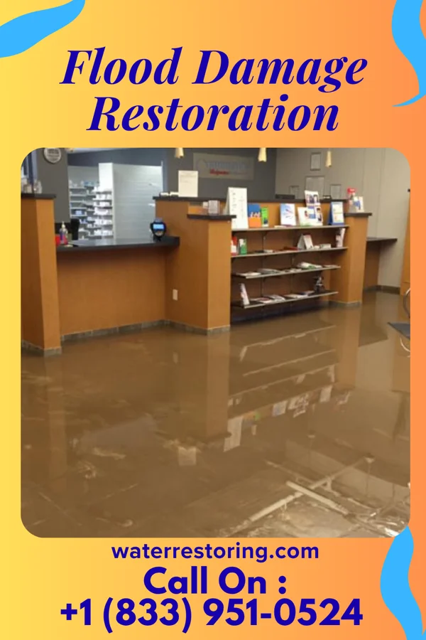Flood Damage Restoration in Kearney Park, MS