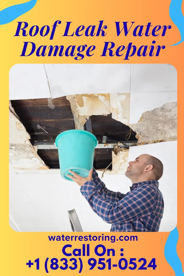 Roof Leak Water Damage Repair in Kearney Park, MS