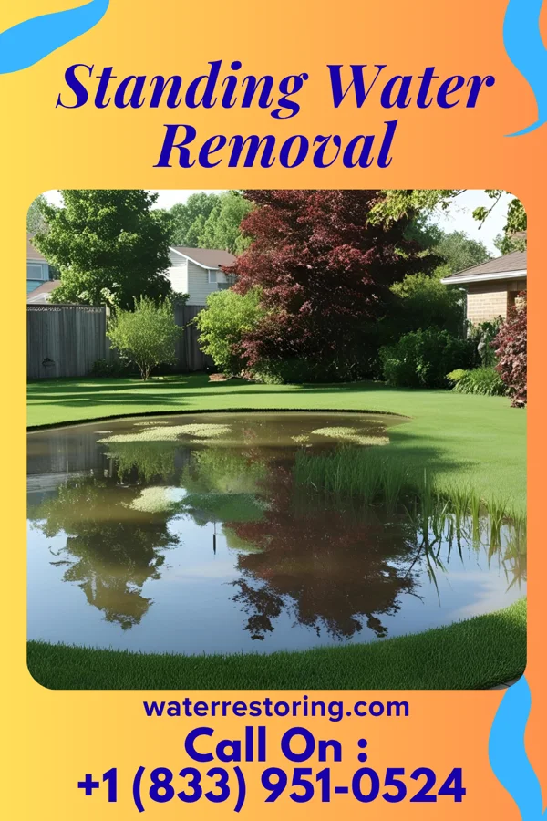 Standing Water Removal in Kearney Park, MS